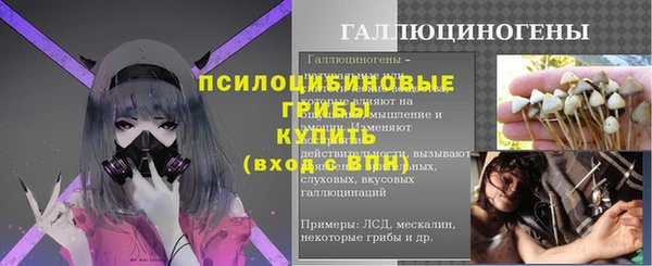 соль ск Лиски